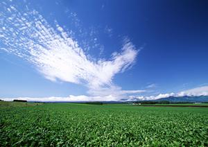 社葬も可能な徳島にある葬儀会社