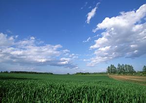 永代供養なら歴史ある曹洞宗 宮澤寺
