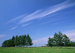 葬儀の主役は家族のファミーユのサポート