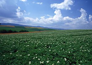 家族葬についての相談ならあさひ葬祭に