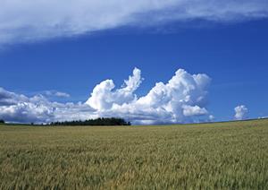 大切な相棒を送り出すセレモニー