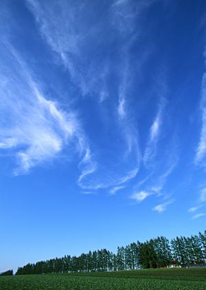 静岡市葵区に新規オープン！家族葬に特化した「家族葬のタクセル長沼」の魅力と特徴