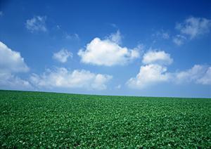 鹿児島で葬儀や葬式を検討されている方