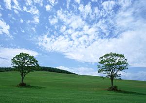 鹿児島唯一の市民葬祭で葬式をしましょう