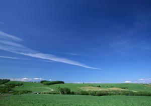 茨城県筑西市の安心・信頼の葬儀場・さがみ典礼 筑西ホール｜安心の費用と充実の設備を紹介
