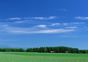 青森の火葬事情2025：安心・信頼の葬儀サービスと最新トレンド