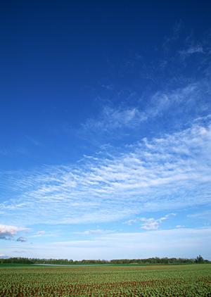 様々な葬儀プランを用意している