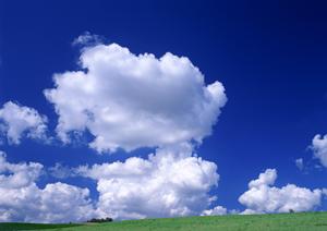 静岡市で選べる低価格葬儀・家族葬・火葬場｜家族葬のタクセルの魅力と店舗情報