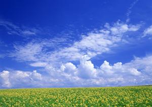 提携の斎場でも家族葬が行なえます