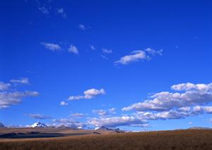 島田市で納骨堂をお探しの方にお勧め