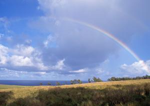 焼津市浜当目に位置する富士葬祭焼津：安心して任せられる家族葬と葬儀場の総合案内
