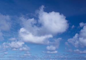 静岡県で安心・低価格の家族葬・火葬を叶える「家族葬のタクセル」：店舗情報とメリットを解説