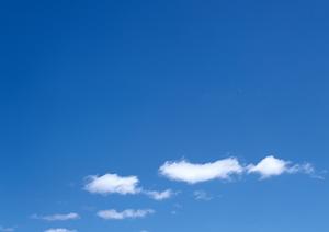 永代供養に対応してもらえる新宿の納骨堂