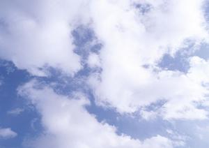 利用者の満足度が高いのが特徴です