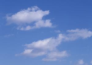 新宿区四谷の歴史ある寺院の永代供養墓