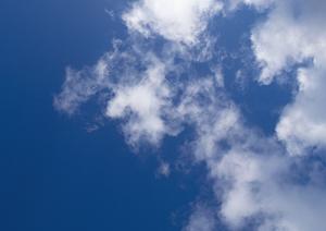 喪中はがきの対応に忘れてはならないのが