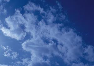 お墓や遺骨の問題は医王寺に相談