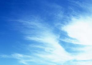 品川での永代供養の選び方とおすすめ施設ガイド