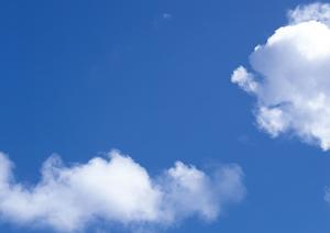 名古屋で本当の永代供養墓を検討中なら