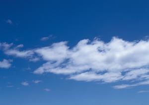 静岡市周辺の永代供養は天然寺へ