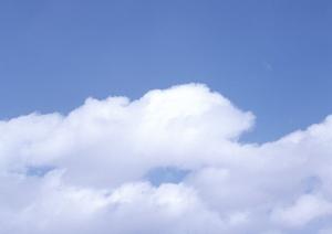 樹木葬をおこなっている宮城県の寺院