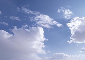 上質な料理も提供してくれる葬儀会社