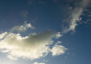 さいたまで家族葬を希望しているなら