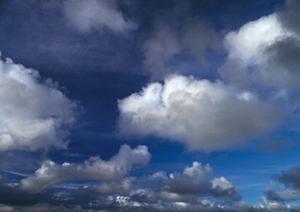 新潟にある永代供養墓を利用する