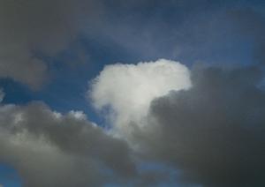 静岡県富士市における低価格・安心の家族葬専門斎場「家族葬のタクセル国久保」の特徴とサービス内容