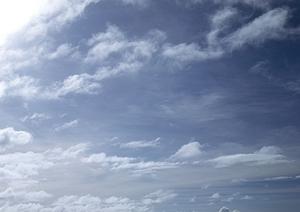 新しい供養の方法でもある海洋散骨