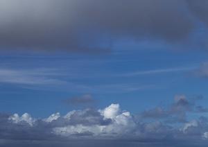 鹿児島でペット葬儀を選ぶならここ