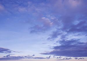 さいたま市内の葬儀・セレモニー屋