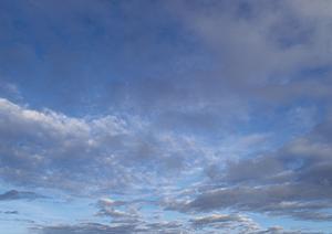 仙台で行うことができる人形供養