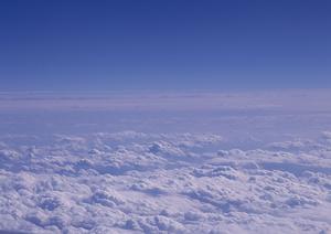 奈良で永代供養が出来るお寺を探す